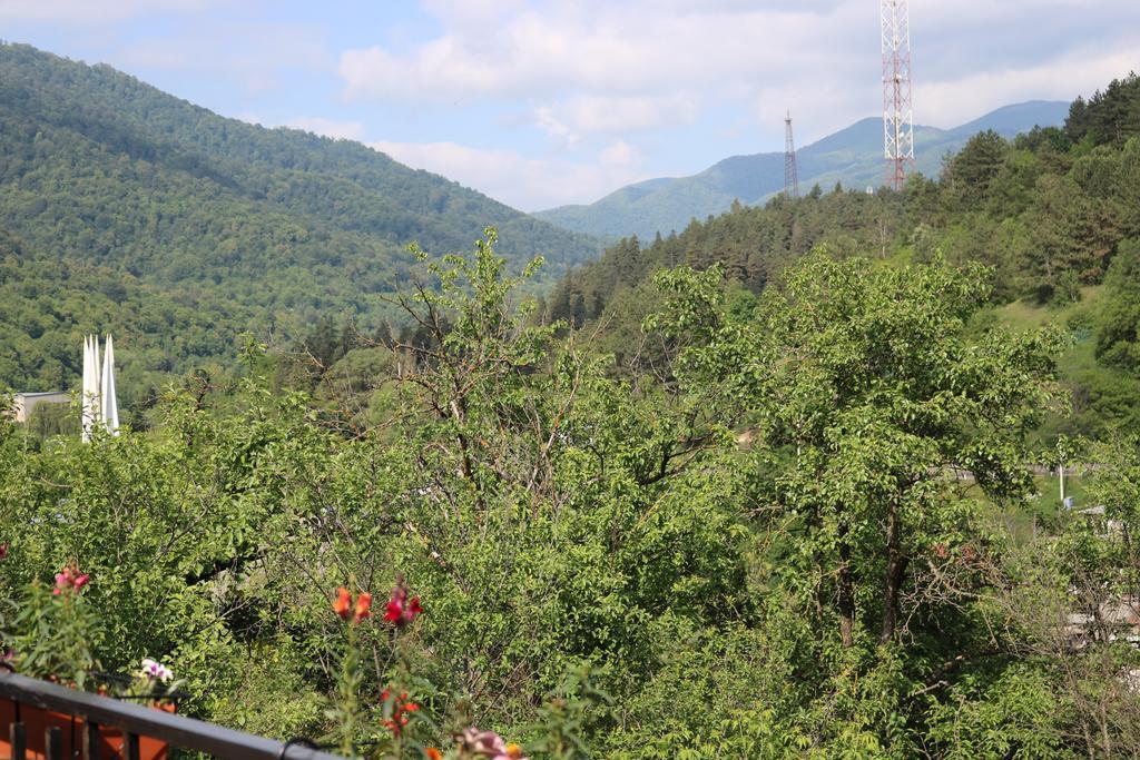 Dilijan Garden House Villa Exterior photo